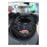 Спасибо Russian Pug Dog Thank you card
