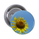 ひまわり , Sunflower Pinback Button