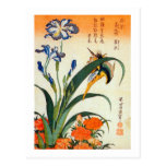アヤメにカワセミ, 北斎 Iris and Kingfisher, Hokusai, Ukiyo-e Postcards
