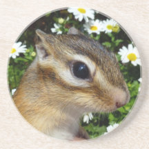 シマリス,chipmunk コースター