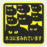 ステッカー　「ネコにまみれています」イエロー シール・ステッカー