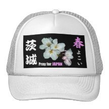 募金用 , Cherry blossoms , 桜 帽子