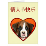 情人节快乐 Chinese Valentine's day boxer dog card