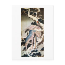 松に鶴, 北斎 Cranes on Pine Tree, Hokusai, Ukiyo-e Post Card