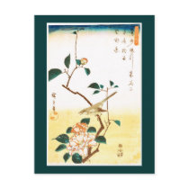 歌川広重 Camellia and Bush Warbler, Hiroshige Postcards