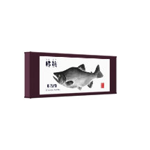 田沢湖！ヒメマス！１００年保存キャンバス！　GYOTAKU　JAPAN　【紫】 ギャラリー張りキャンバス