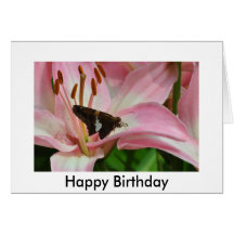 002, Happy Birthday Cards