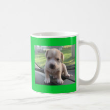004, CHIOT JE ! ! ! TASSE