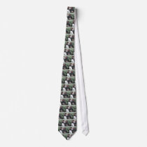 006060 Princess Diana Lochmaddy 1985 Necktie