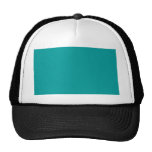 009999 Solid Colour Turquoise Background Template Mesh Hats