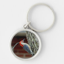 012510-6-AKC KEYCHAINS