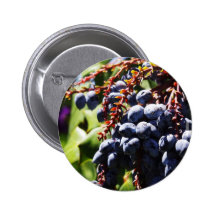 012 copy.jpg pinback buttons