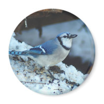 021910-173-AM REFRIGERATOR MAGNET
