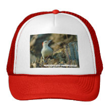 021910-190-AH HATS