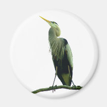 040111-418-M-AM REFRIGERATOR MAGNETS
