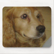04062008017 mousepads