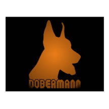 0513032011 Dobermann (Animales) Postcard