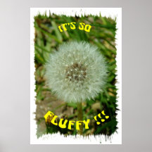051311-118 POSTERS
