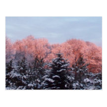 065 POST CARDS