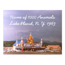 1000 Animals Lake Placid Postcard