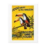 1000 Miles Up The Amazon- Vintage Travel Poster Post Card