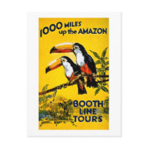 1000 Miles Up The Amazon- Vintage Travel Poster Post Card