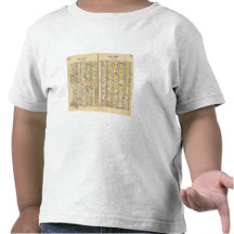 100101 Mt Vernon Shirt