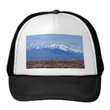 1002 Area: Caribou with mountain backdrop Hat