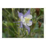 100_0028 CARD
