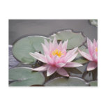 100_0085 POST CARD