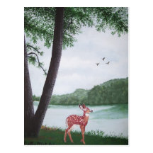 100_0091 POSTCARDS