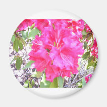 100_0292 FRIDGE MAGNET