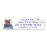 100_0580,        YORKIES ARE LITTLE ANGELS SENT... BUMPER STICKERS