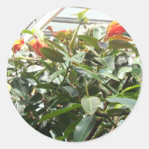100_0870 STICKER