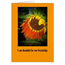 100_1499, I am thankful for our friendship Greeting Cards