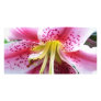 100_3150 PERSONALIZED PHOTO CARD