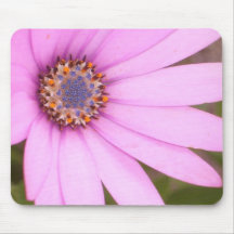 100_4424 PINK FLOWER OF GASTOURI MOUSE PADS