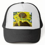 100_7760 _ Sunflowers Mesh Hats