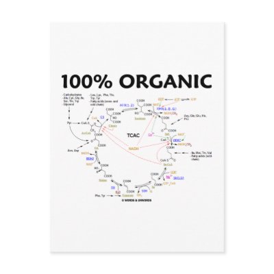100% Organic (Citric Acid Cycle - Krebs Cycle) by wordsunwords