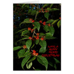 101009-300X-AGC   "BERRY MERRY CHRISTMAS" CARD