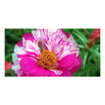 101_5360 PHOTO GREETING CARD