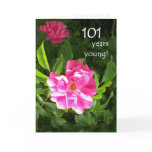 101st Birthday Card - Pink Roses