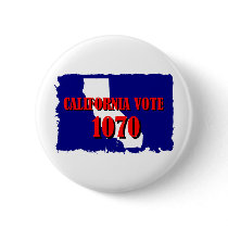 1070 CALIFORNIA PIN
