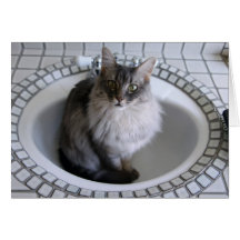 10806 Cat in bathroom sink Greeting Cards