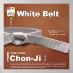10-1 White Belt Do-jang Poster
