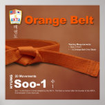 10-3 Orange Belt Do-jang Poster