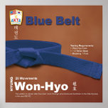 10-6 Blue Belt Do-jang Poster