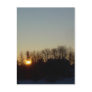 10 February 2010 Post Cards