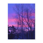 10 January 2010 Postcard