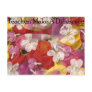 10 Teachers Make A Difference Post Card